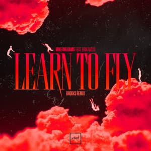Single: Learn To Fly (Brooks Remix)