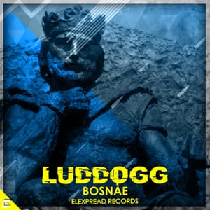 Album: Bosnae