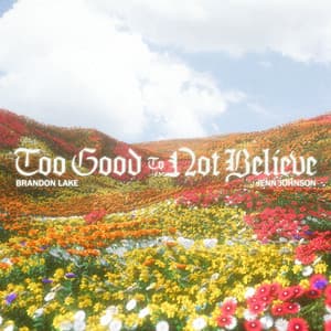 Single: Too Good To Not Believe (Radio Version)
