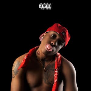 Album: Are You Dum?!, Vol. 2
