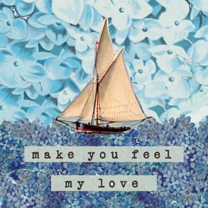 Single: Make You Feel My Love