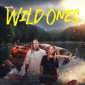 Album: Wild Ones