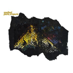 Album: Pure, Impure (Expanded EPs Edition)