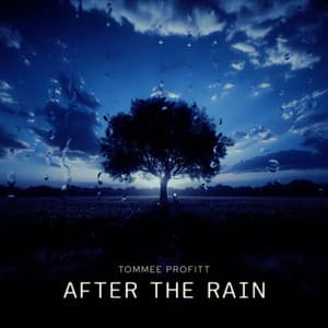 Single: After The Rain (Instrumental)
