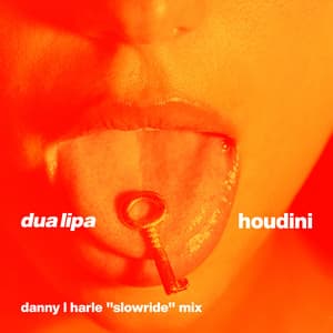 Single: Houdini (Danny L Harle Slowride Mix)