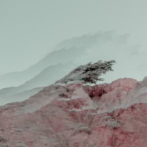 Single: Weather Alive