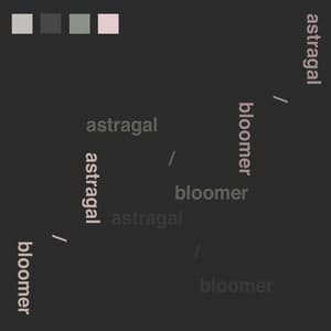 Single: Bloomer