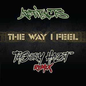 Single: The Way I Feel (Remix)