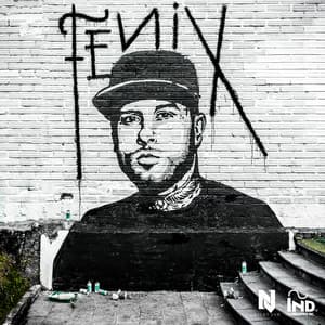 Album: Fénix