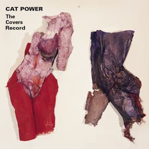 Album: The Covers Record