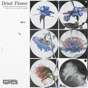 Single: dried flower
