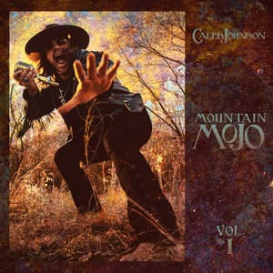 Album: Mountain Mojo, Vol. 1