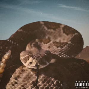 Album: The Texas Rattlesnake