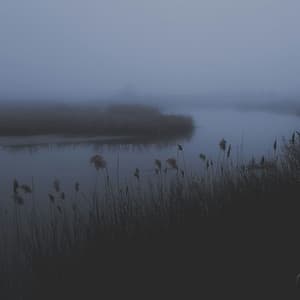 Single: Shadows of my tears