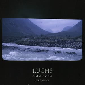 Single: Vanitas (Remix)