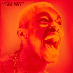 Single: JOY FOR YOUTH (with Sir Chloe)