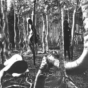 Album: Bosse-de-Nage (2021 Remaster)