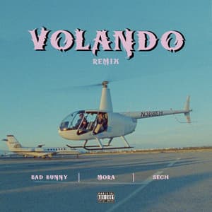Single: Volando (Remix)