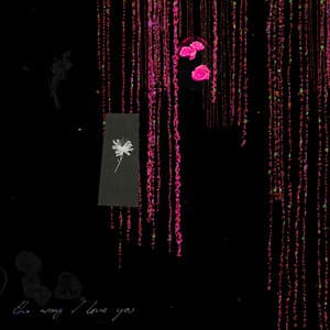 Single: The Way I Love You (Remixes)