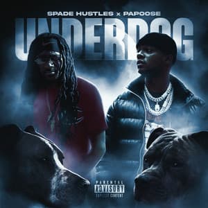 Single: Underdog
