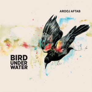 Single: Bird Under Water