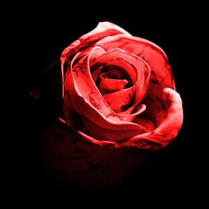Single: Romantic Homicide (Live Version)