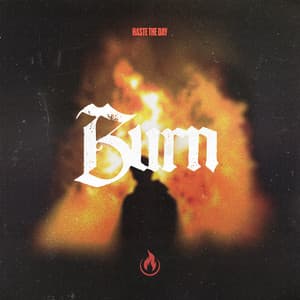 Single: Burn