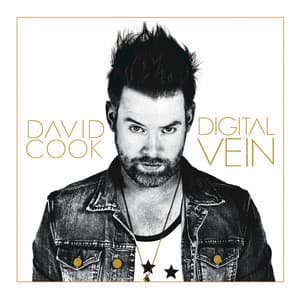 Album: Digital Vein