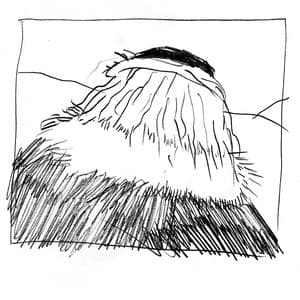 Single: Fat Man's Comin'