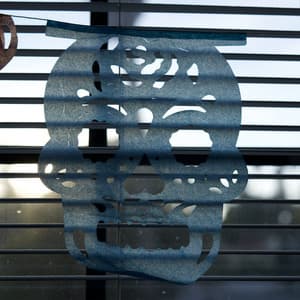 Single: Lush Rimbaugh