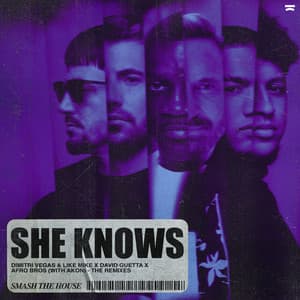 Album: She Knows (with Akon) [The Remixes]