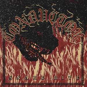 Single: Snake Bite
