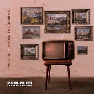 Single: Psalm 23 (I Am Not Alone)