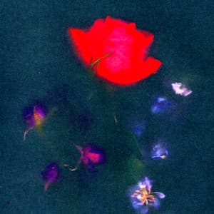Single: Hollow Grave