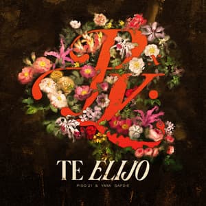 Single: Te Elijo