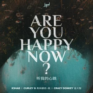 Single: Are You Happy Now