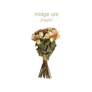 Album: Fragile