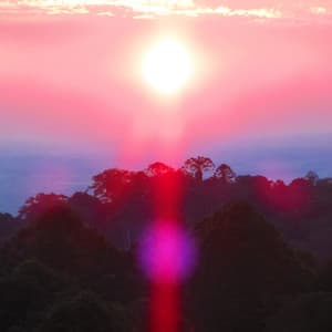 Single: Paradise Valley
