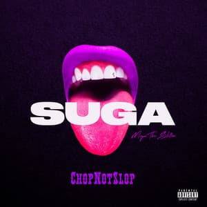 Album: Suga (Chopnotslop Remix)