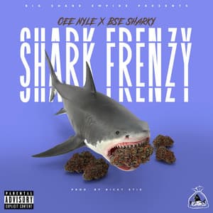 Single: Shark Frenzy