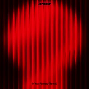 Single: In Your Fantasy (Remix)