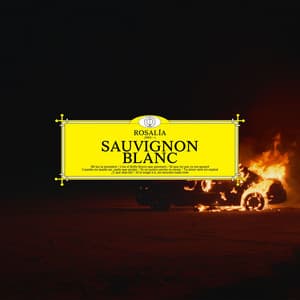Single: Sauvignon Blanc
