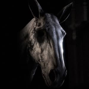 Single: Everybody Needs Someone (feat. Vance Joy)