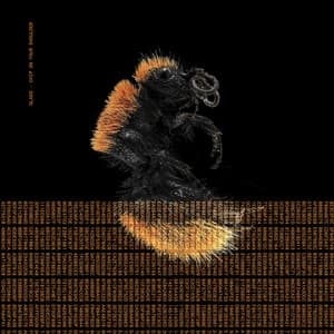 Single: Chip on your shoulder