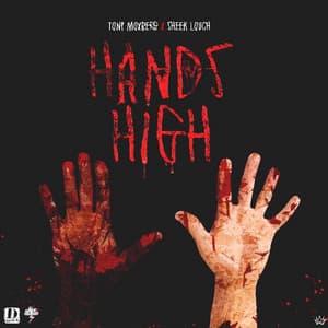 Single: Hands High