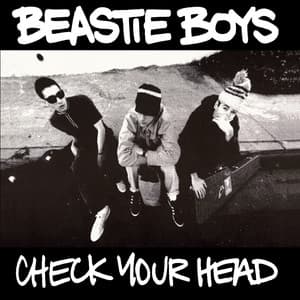 Album: Check Your Head (Deluxe Edition/Remastered/2009)