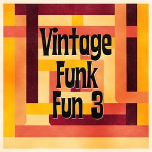 Album: Vintage Funk Fun 3