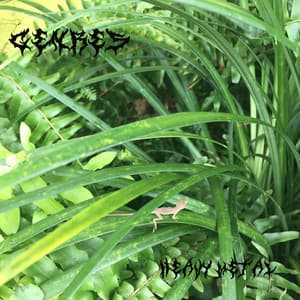 Single: Heavy Metal