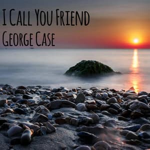 Single: I Call You Friend