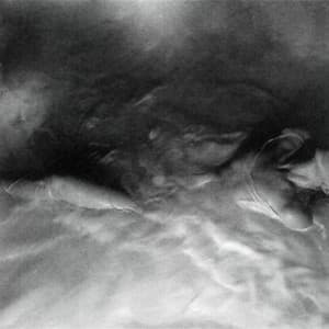 Album: FLOWERS for VASES / descansos
